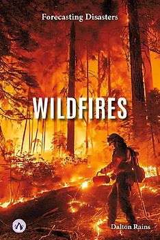 Wildfires