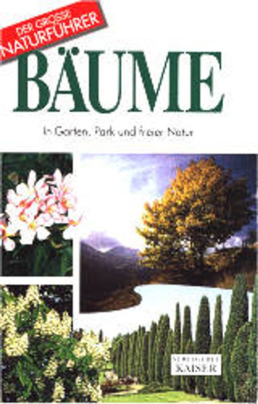 Bäume. In Garten, Park und freier Natur