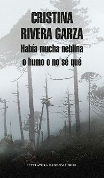 Había Mucha Neblina O Humo O No Sé Qué Caminar Con Juan Rulfo / There Was a Lot of Fog, or Smoke, or I'm Not Sure What: Walking with Juan Rulfo
