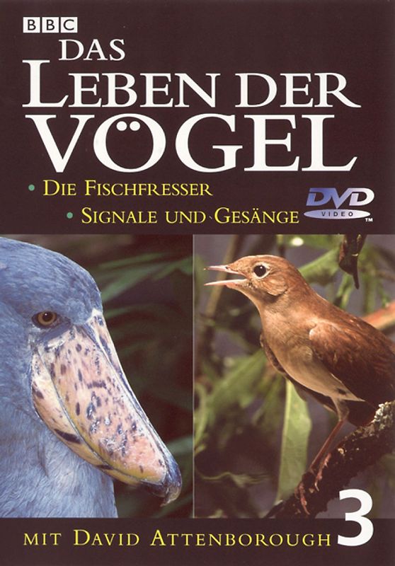 Das Leben der Vögel - Teil 3 DVD