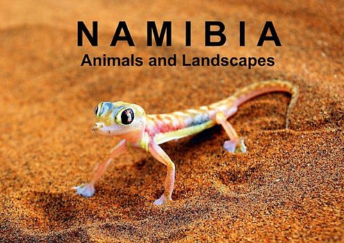 Namibia - Animals and Landscapes (Poster Book DIN A3 Landscape)