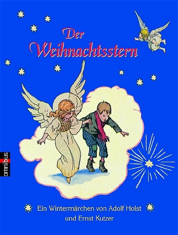 Der Weihnachtsstern