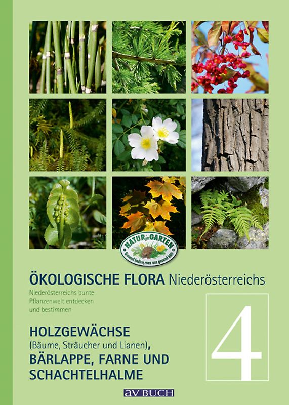 Ökologische Flora – Nieder-Österreichs Pflanzenwelt entdecken und bestimmen