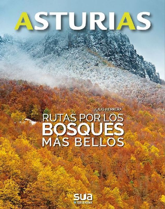 Rutas por los bosques más bellos