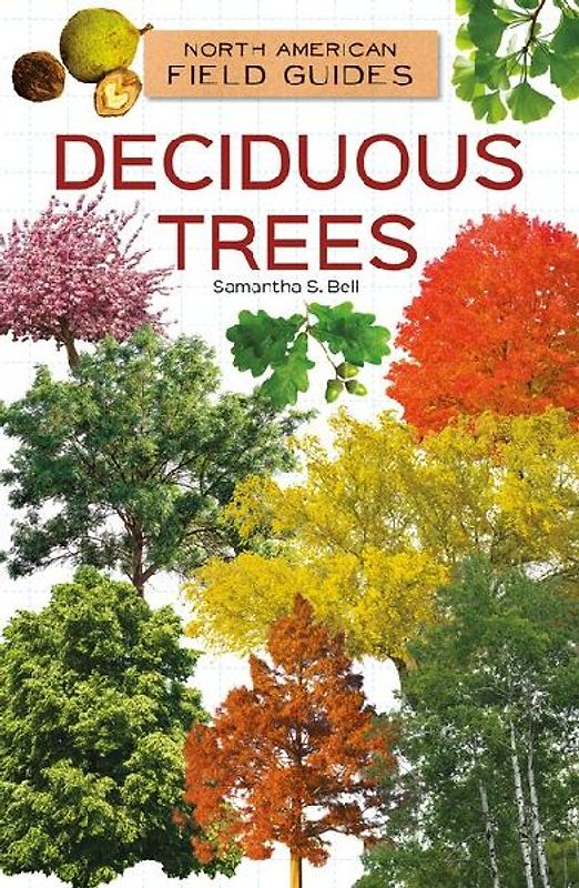 Deciduous Trees