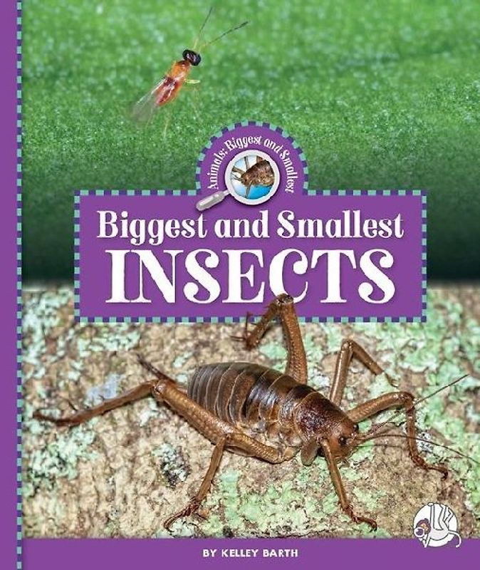 Biggest and Smallest Insects