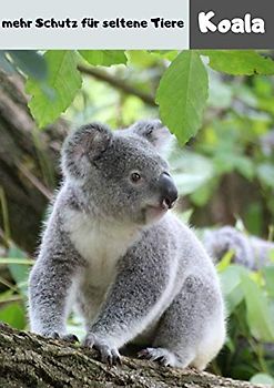 Koala mehr Schutz für seltene Tiere: Journal A4 liniert | Koalas | über 110 Seiten mit Inhaltsverzeichnis | perfekt als Geschenk, Schreibheft oder Tagebuch