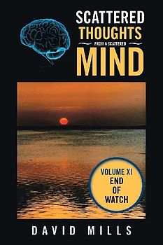 Scattered Thoughts from a Scattered Mind