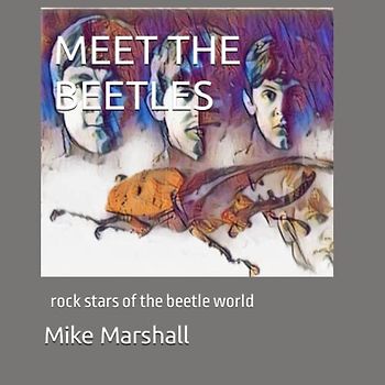 MEET THE BEETLES: rock stars of the beetle world