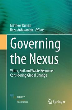 Governing the Nexus