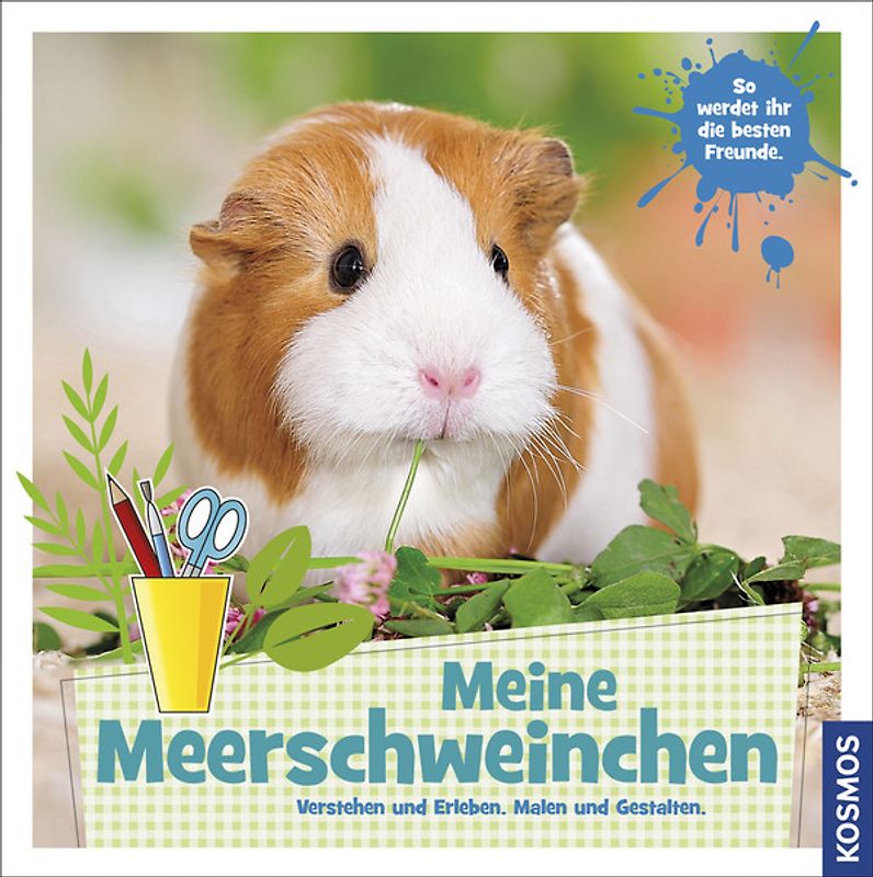 Meine Meerschweinchen