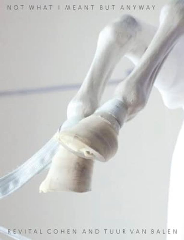 Not What I Meant but Anyway (mersion: Emergent Village resources for communities of faith)