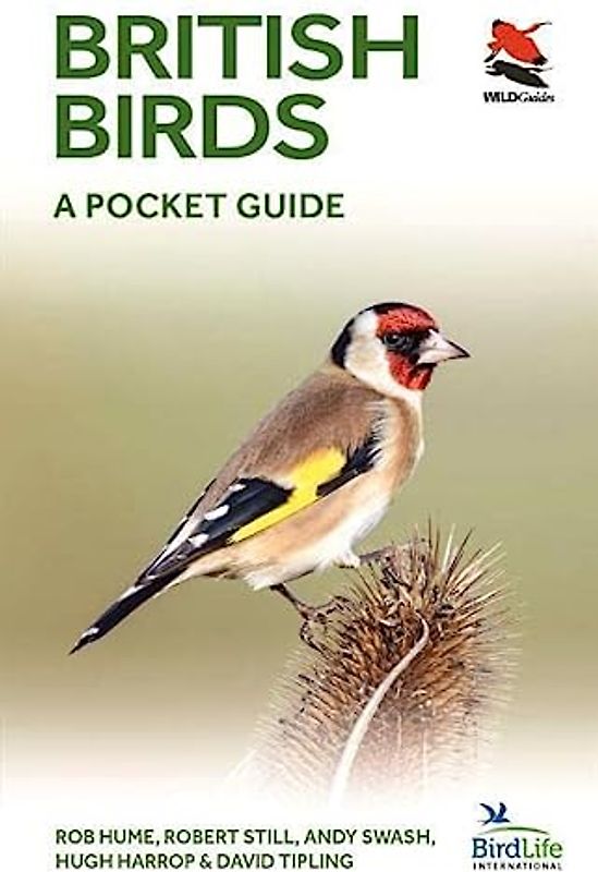 British Birds: A Pocket Guide (Wildguides)