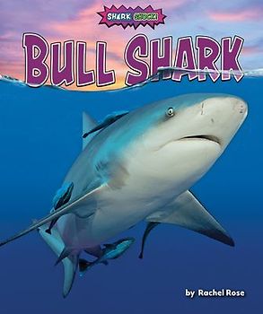 Bull Shark