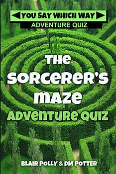 The Sorcerer's Maze (You Say Which Way Adventure Quiz, Band 1)