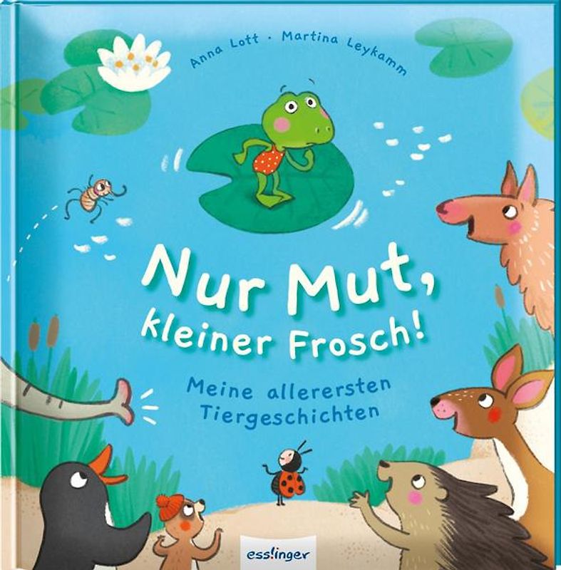 Nur Mut, kleiner Frosch!
