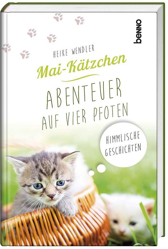 Mai-Kätzchen – Abenteuer auf vier Pfoten