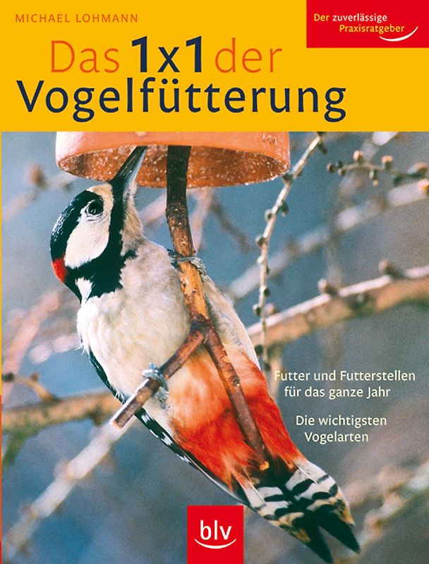 Das 1 x 1 der Vogelfütterung