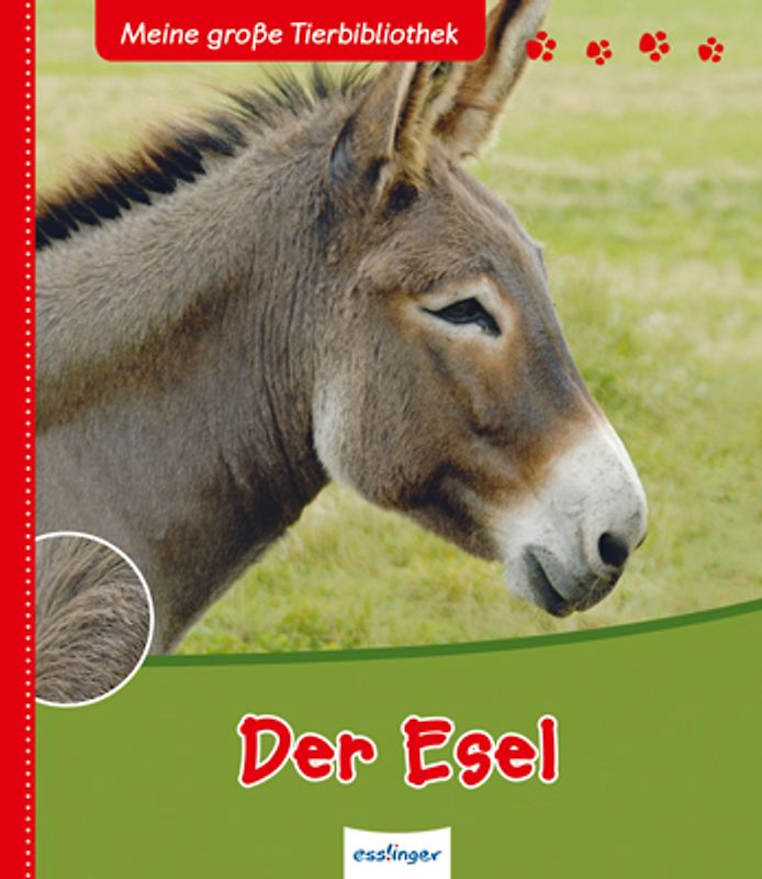 Meine große Tierbibliothek: Der Esel