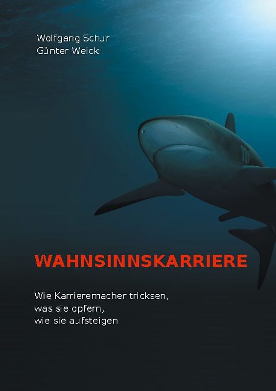 Wahnsinnskarriere