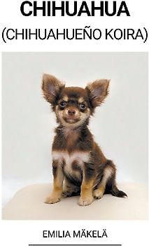 Chihuahua (Chihuahueño Koira)