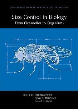 Size Control in Biology: From Organelles to Organisms