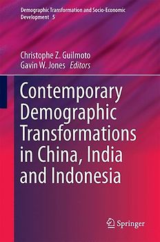 Contemporary Demographic Transformations in China, India and Indonesia