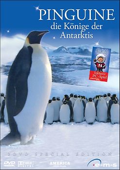 Pinguine - die könige der Antarktis DVD
