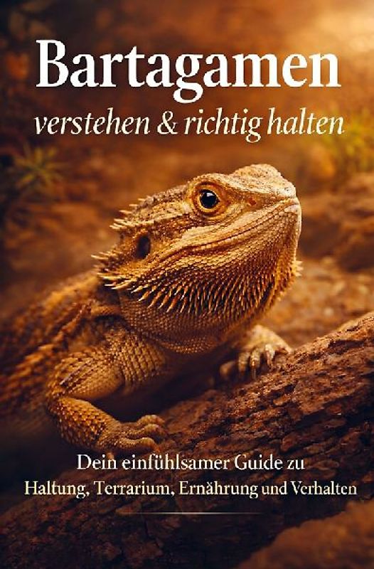 Bartagamen verstehen & richtig halten