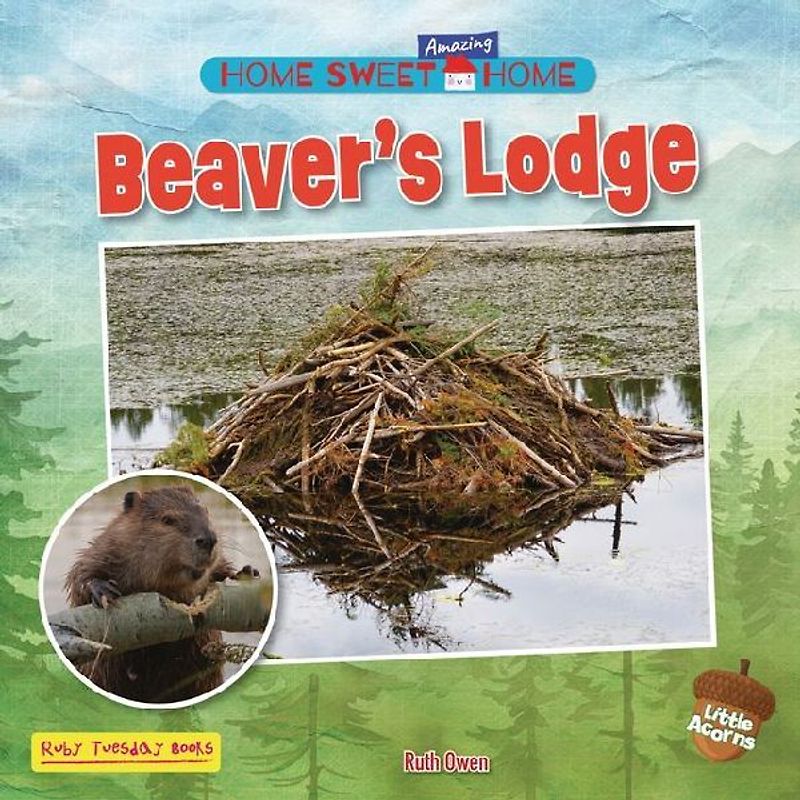 Beaver's Lodge