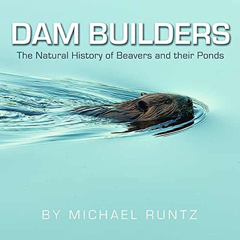Dam Builders
