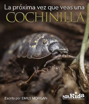 La Próxima Vez Que Veas Una Cochinilla