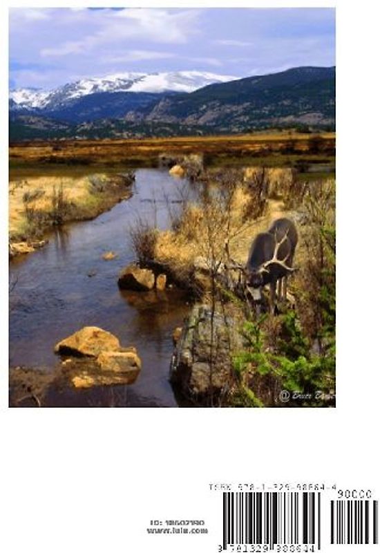 Tales of a Pennsylvania Whitetail Hunter