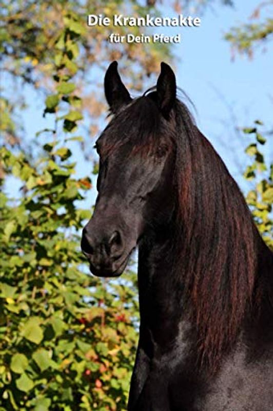 Die Krankenakte für Dein Pferd: Dokumentiere mit einer sinnvollen Vorlage schnell und einfach die Krankheiten / Verletzungen Deines Pferdes - 120 Seiten (Krankenakte Pferd - weitere Cover mit Pferden)