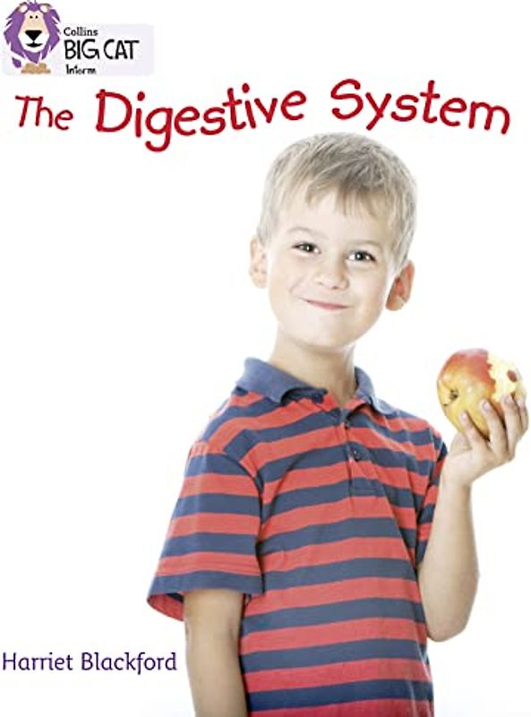 The Digestive System