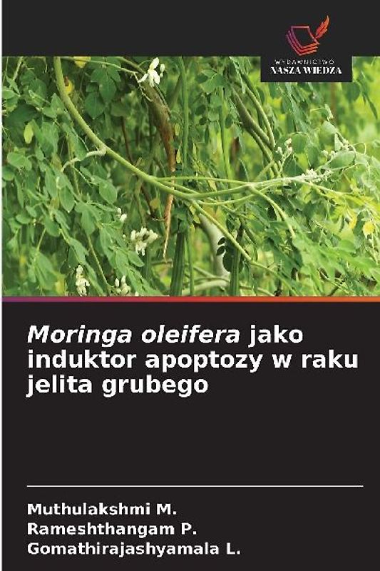 Moringa oleifera jako induktor apoptozy w raku jelita grubego