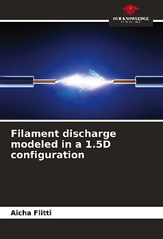 Filament discharge modeled in a 1.5D configuration