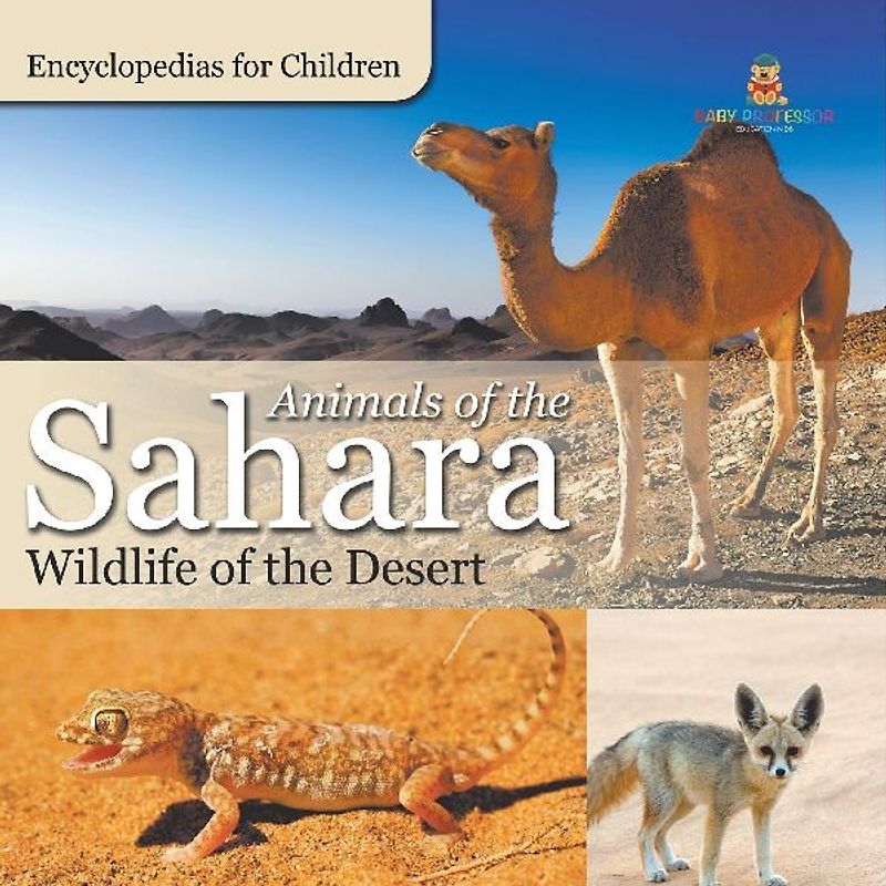 Animals of the Sahara | Wildlife of the Desert | Encyclopedias for Children
