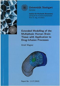 Extended modelling of the multiphasic human brain tissue with application to drug-infusion processes