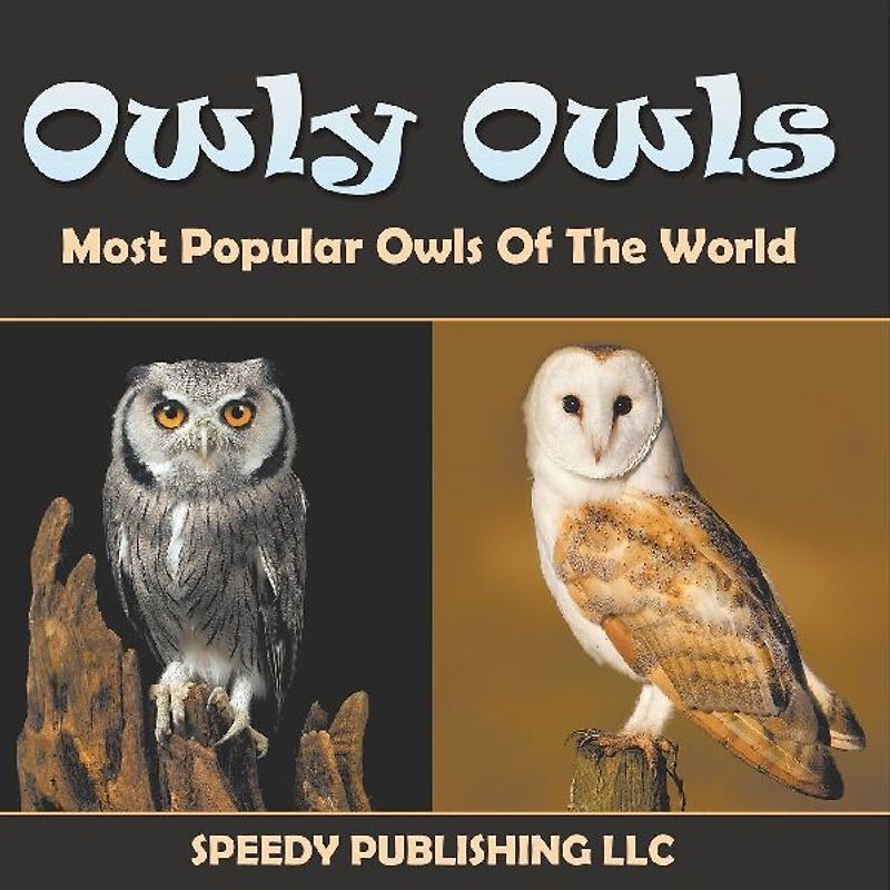 Owly Owls Most Popular Owls Of The World