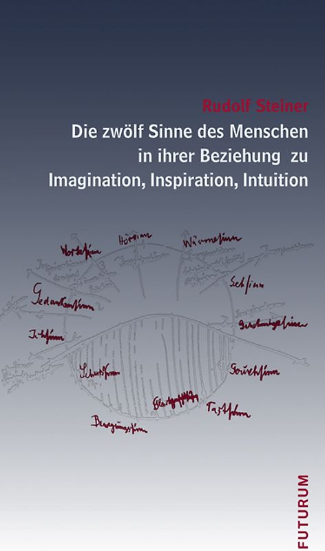Die zwölf Sinne des Menschen in ihrer Beziehung zu Imagination, Inspiration und Intuition