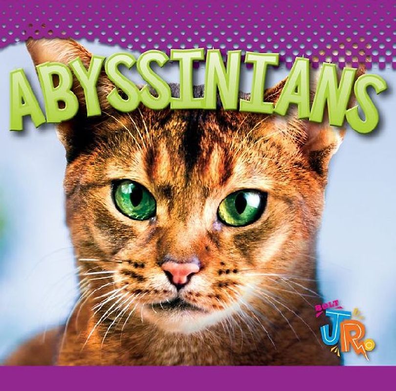 Abyssinians