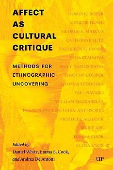 Affect as Cultural Critique