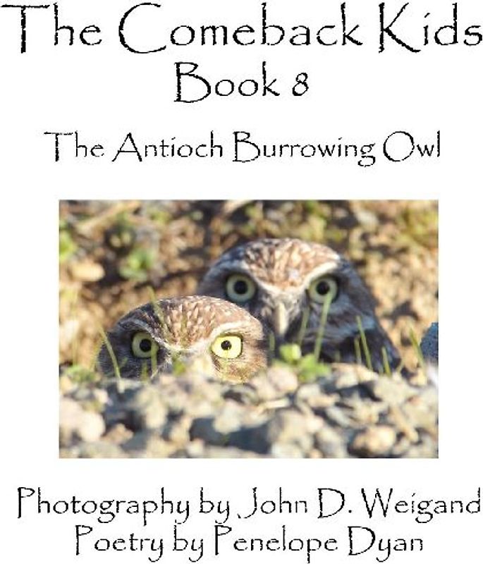 The Comeback Kids, Book 8, the Antioch Burrowing Owl