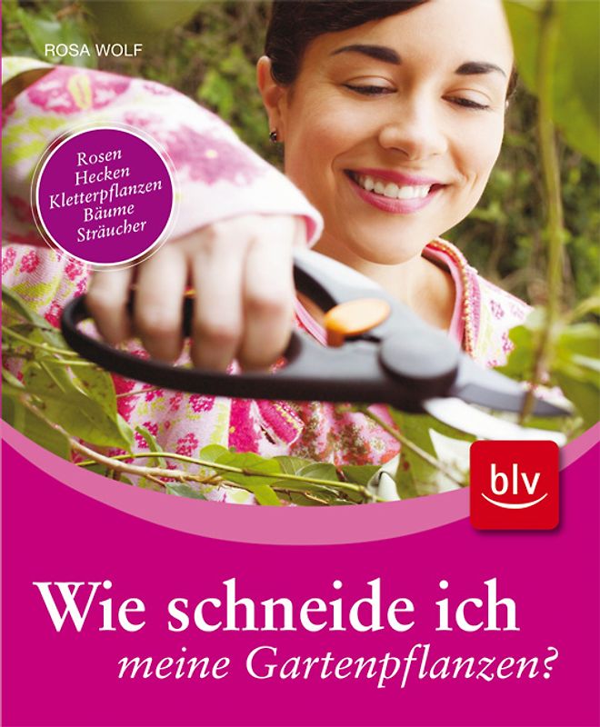 Wie schneide ich meine Gartenpflanzen?