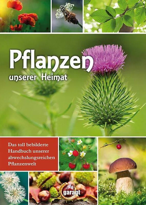 Pflanzen unserer Heimat