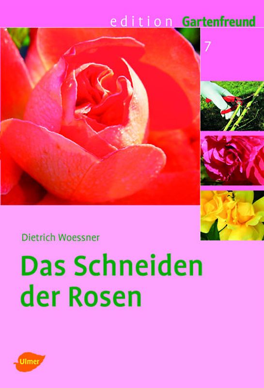 Das Schneiden der Rosen