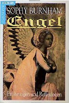 Engel. Erfahrungen und Reflexionen