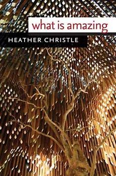 What Is Amazing (Wesleyan Poetry)