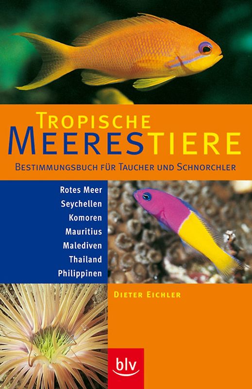 Tropische Meerestiere